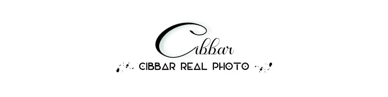 CIBBAR Harajuku Animal Print Crop Top Basic White Short Sleeve Crewneck T-shirt Women Casual Slim-fitting Tees Lady y2k Vintage